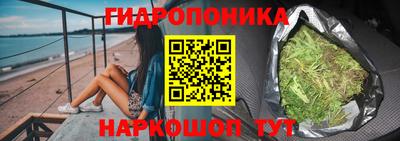 дурь Кингисепп