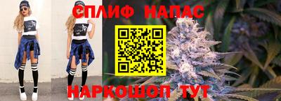дурь Кингисепп