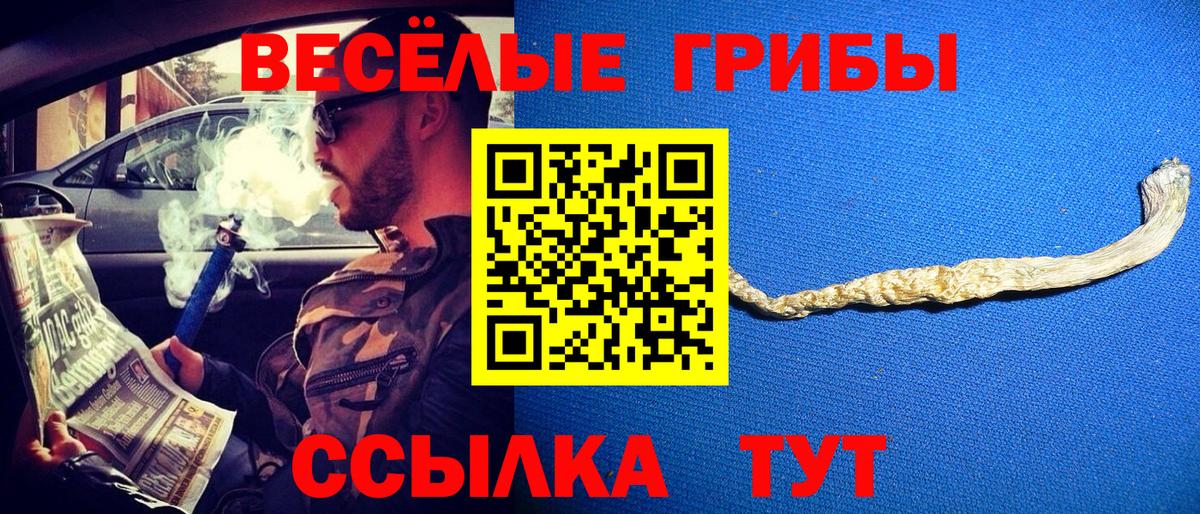Мелеуз  Галлюциногенные грибы прущие грибы  Вход с VPN  Псилоцибиновые грибы GOLDEN TEACHER 